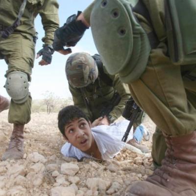 palestine-enfant_arrete-01.05.26.jpg