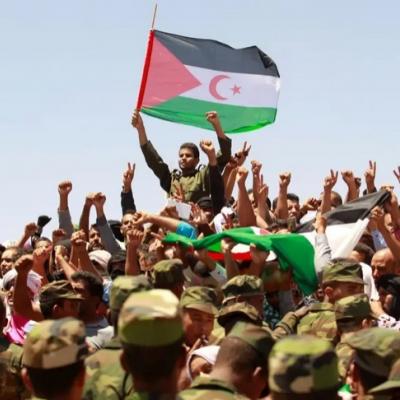 الصحراء الغربية 