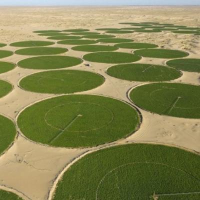 terres-agricoles-sud-22.05.26.jpg