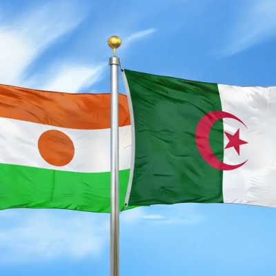 الجزائر النيجر