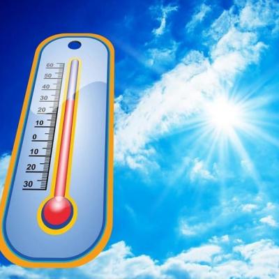 Canicule