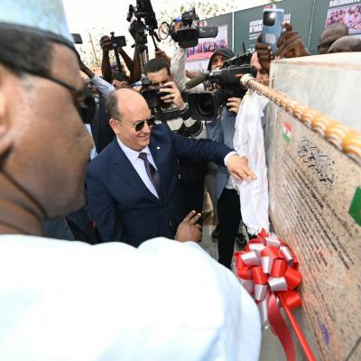 الوزير الأول يشرف بنيامي على تدشين محطة توليد الكهرباء للتضامن  الجزائري-النيجري