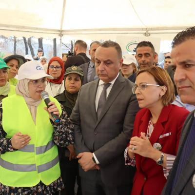 ولاية تيبازة