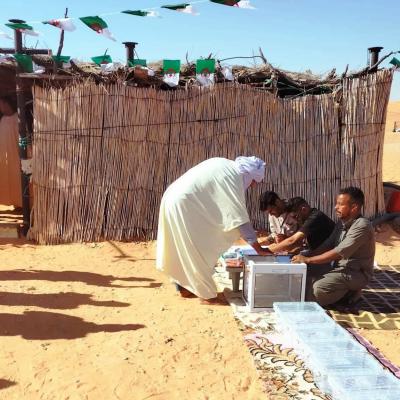 تشريعيات 2 جويلية: انطلاق عملية التصويت عبر المكاتب المتنقلة بولايات الجنوب  الكبير