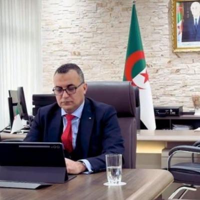 سيد علي زروقي 
