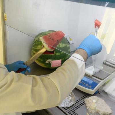 وزارة التجارة الداخلية: التحاليل المخبرية أثبتت خلو البطيخ الأحمر المسوق من  أي مخاطر على صحة المستهلكين