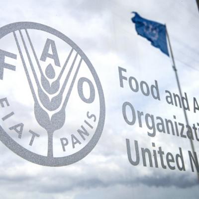 FAO