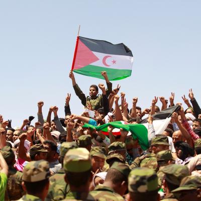 الشعب الصحراوي