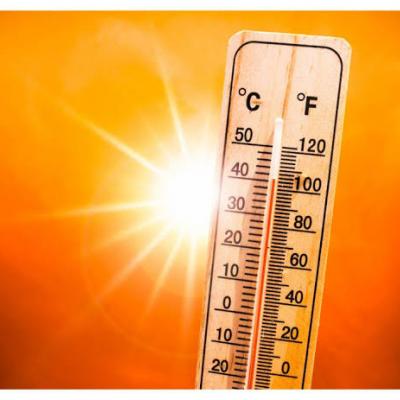 Canicule