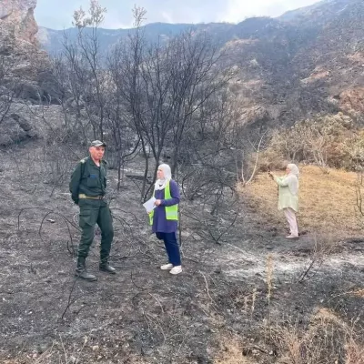forestfires