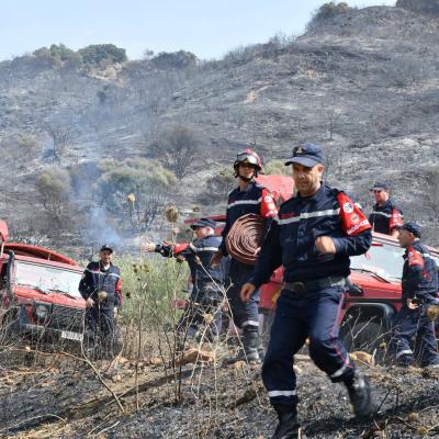 Extinction de 42 incendies sur 43 au cours des dernières 24 heures 