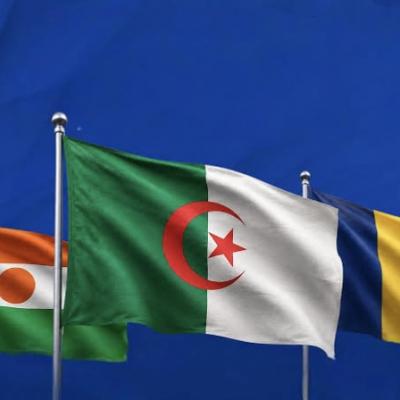 الجزائر النيجر تشاد