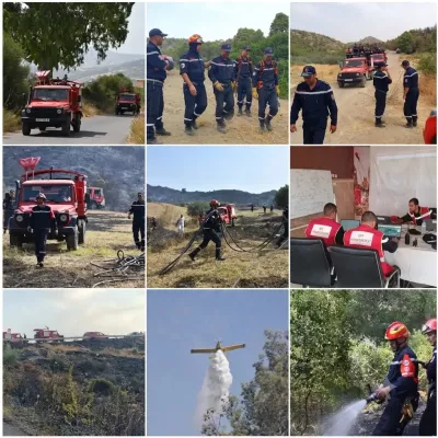 wildfires