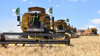 عملية الحصد