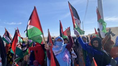 ضرورة إرسال بعثات مراقبة دولية إلى الصحراء الغربية