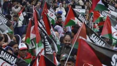 الصحراء الغربية