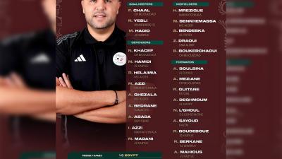 Liste des joueurs retenus par Madjid Bougherra pour affronter l'Egypte en amical