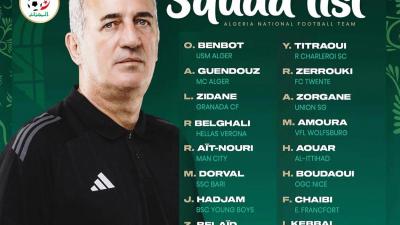 فلاديمير بيتكوفيتش