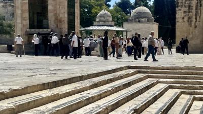 عشرات المستعمرين الصهاينة يقتحمون المسجد الأقصى المبارك