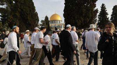 فلسطين : عشرات المستوطنين الصهاينة يقتحمون المسجد الأقصى المبارك