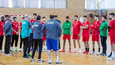 Equipe nationale de handball