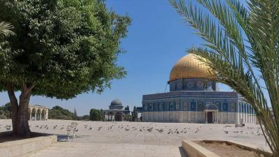 مواصلة الاحتلال الصهيوني إغلاق المسجد الأقصى