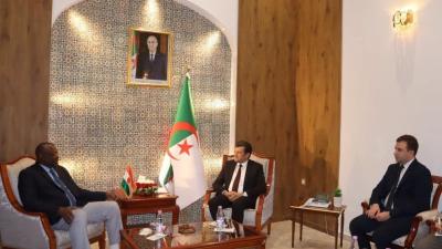 ياسين وليد يبحث مع وزير البيئة النيجري التعاون في مجال التنمية  المستدامة والحفاظ على الموارد الطبيعية