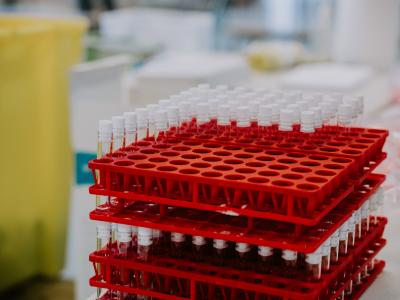 le vaccin chinois V-01