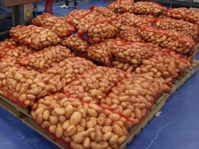 destockage pomme de terre 14.10