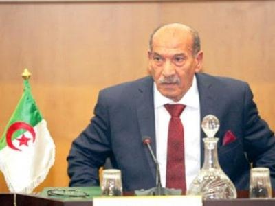  رئيس المجلس الدستوري, كمال فنيش