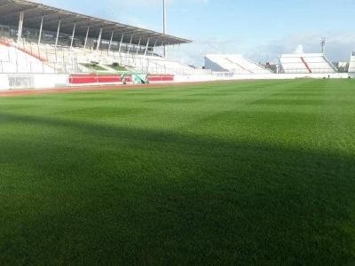 Photo de la pelouse du stade Mustapha Tchaker de Blida