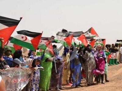 الصحراء الغربية