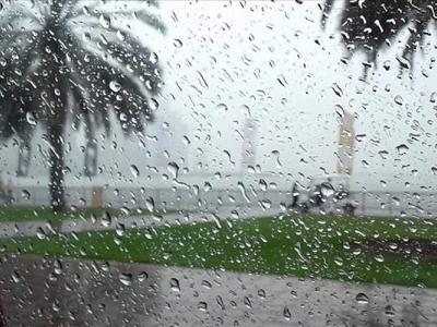 نشرية خاصة