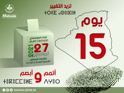 الانتخابات المحلية 15