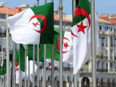 الجزائر -محليات