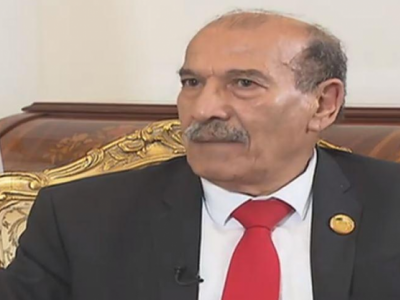 رئيس المجلس الدستوري, كمال فنيش