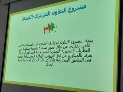 جامعة جامعة