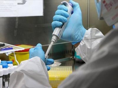 Coronavirus Algérie.06.02.2022