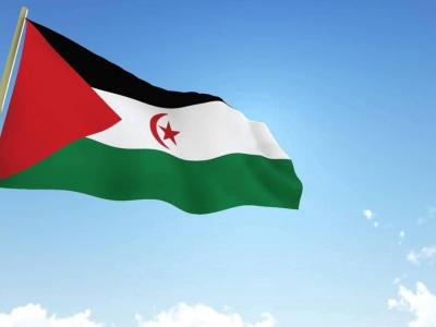 الصحراء الغربية الصحراء الغربية