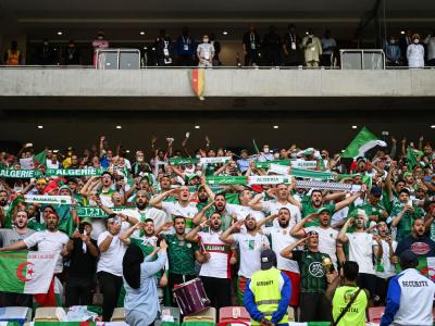 Supporters algériens au Cameroun 