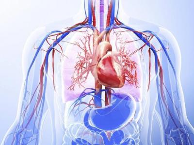  الصيام الصحي