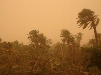 Des vents sur des wilayas du Sud et de l'Est 
