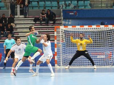 Equipe nationale de handball