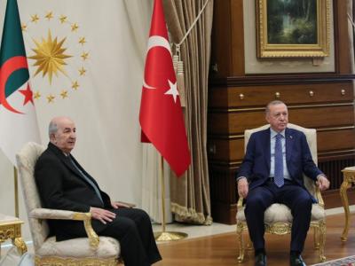 الرئيسان تبون وأردوغان 