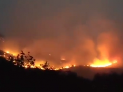 Feux de forets à Sétif 