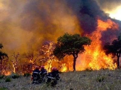Feu de forets.15.08.2022