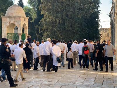 Les Colons envahissent par dizaines les Lieux saints à Al-Aqsa