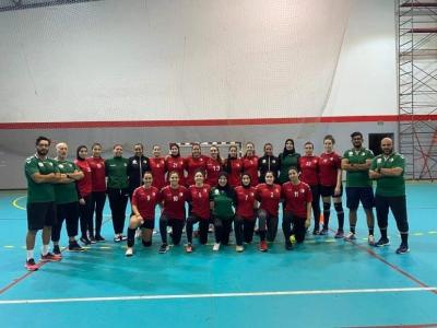 Equipe nationale de handball dames