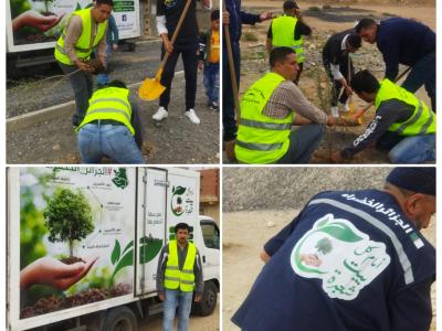 مشروع الجزائر الخضراء