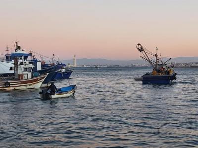 صيد التونة الحمراء: رفع حصة الجزائر إلى 2023 طن خلال حملة السنة المقبلة